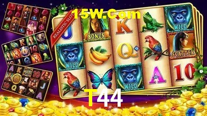 T44 São Paulo - Top Slots